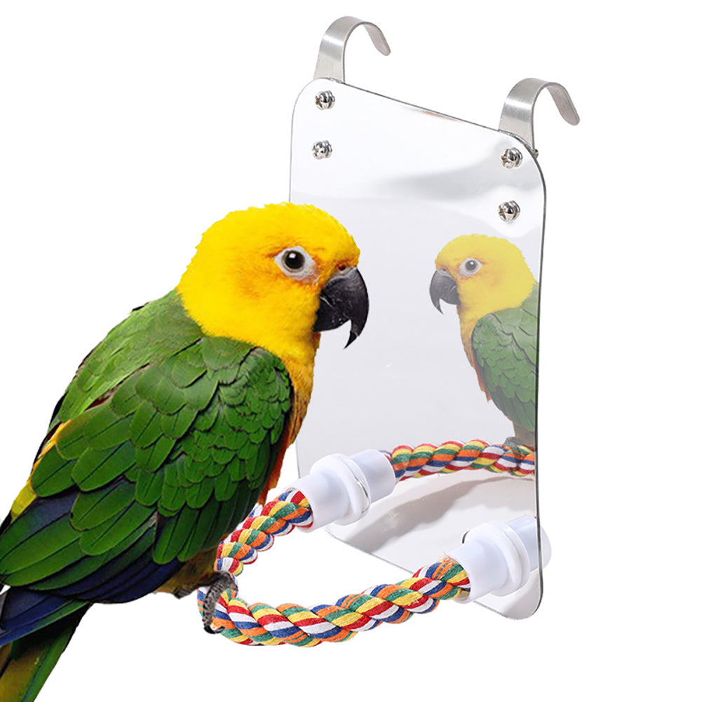 Acrylic Bird Mirror Toy with Standing Pole