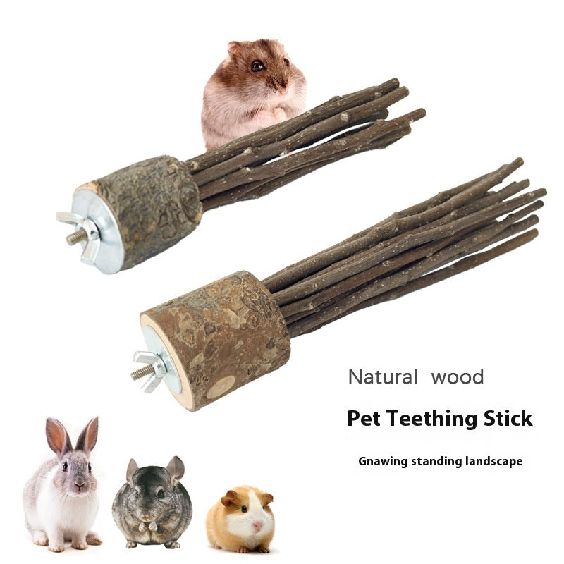 Natural Apple Wood Molar Chew Sticks for Small Pets
