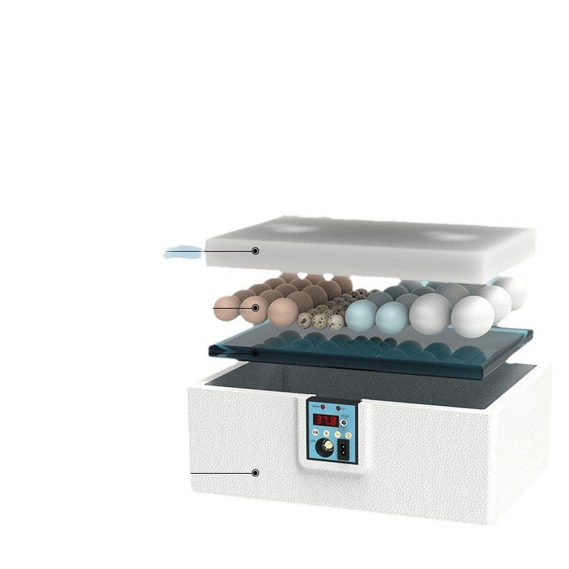 10-Egg Mini Waterbed Incubator — USB Powered