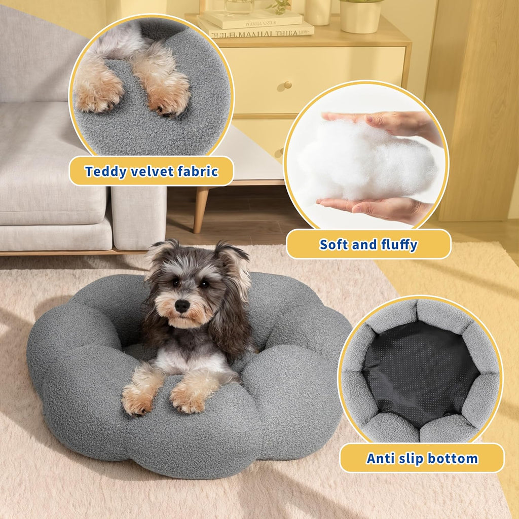 🐱Cat Essentials Bundle — Save $17