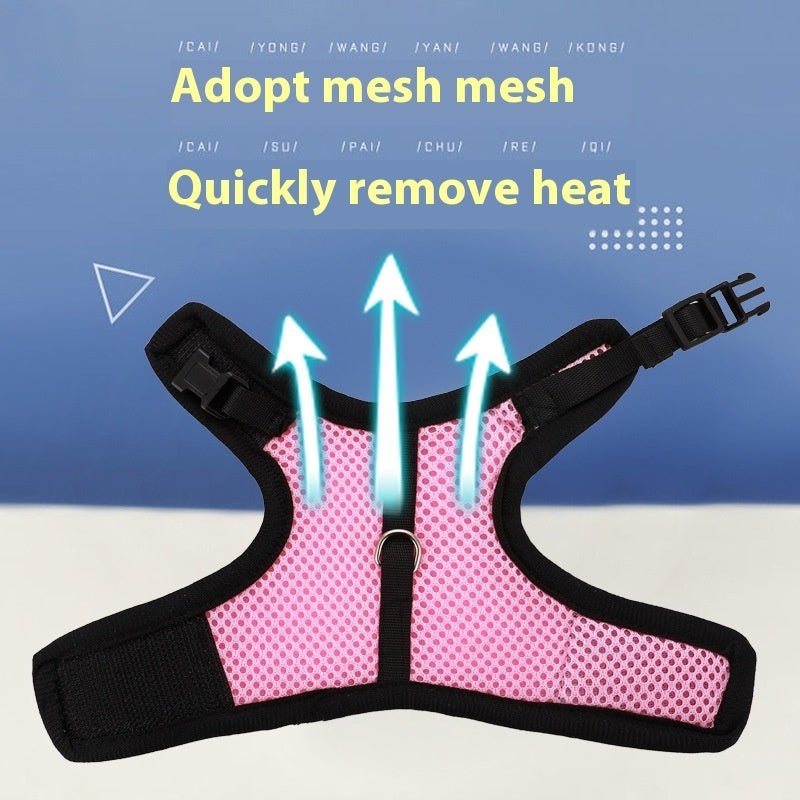 Mesh Vest Harness & Leash Set for Guinea Pigs & Rabbits