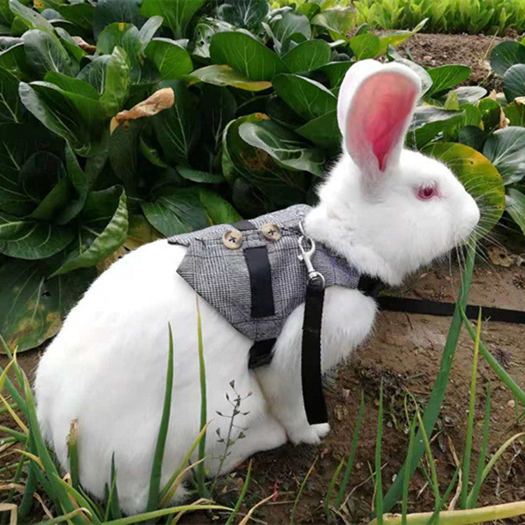 Rabbit & Cat Chest Strap Harness with Hand Rope