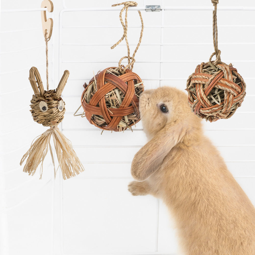 Guinea Pig Chewing & Molar Teeth Toy