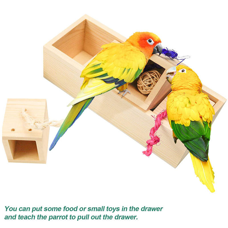 Parrot Puzzle Training Toy & Bird Supplies