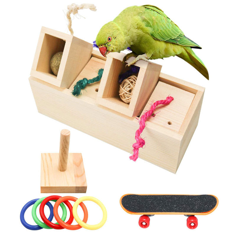 Parrot Puzzle Training Toy & Bird Supplies