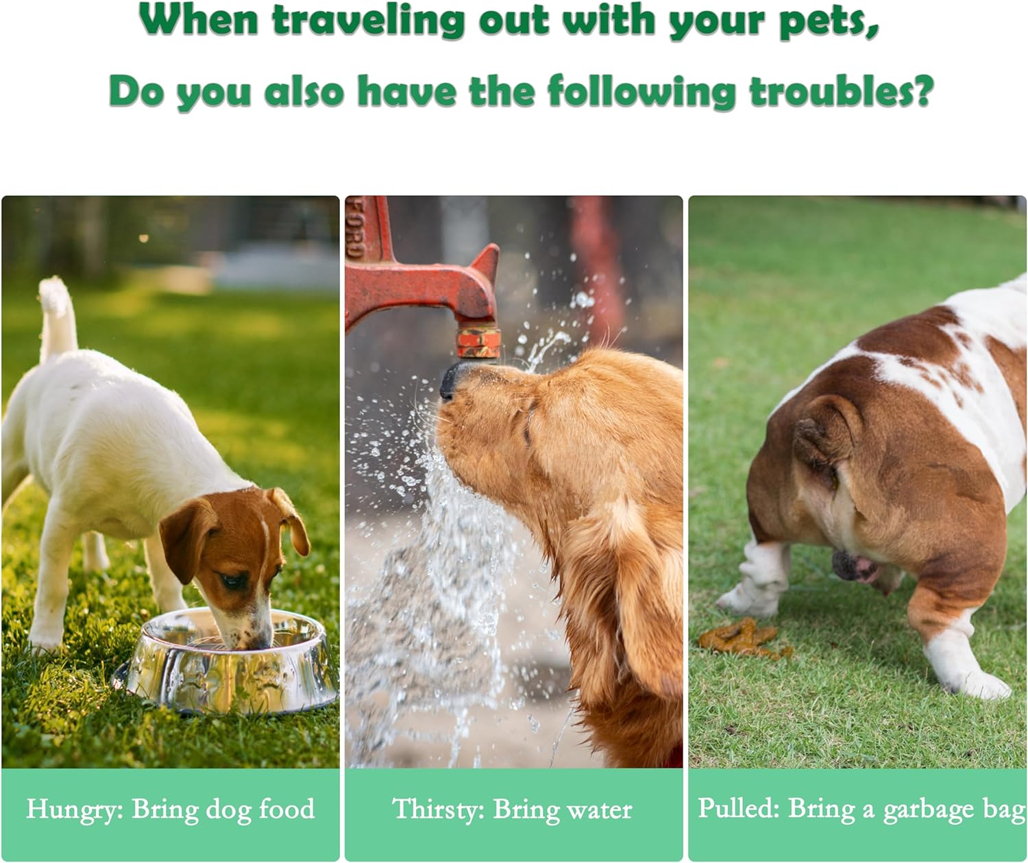 3-in-1 Portable Pet Water Bottle with Food Container & Bag Dispenser