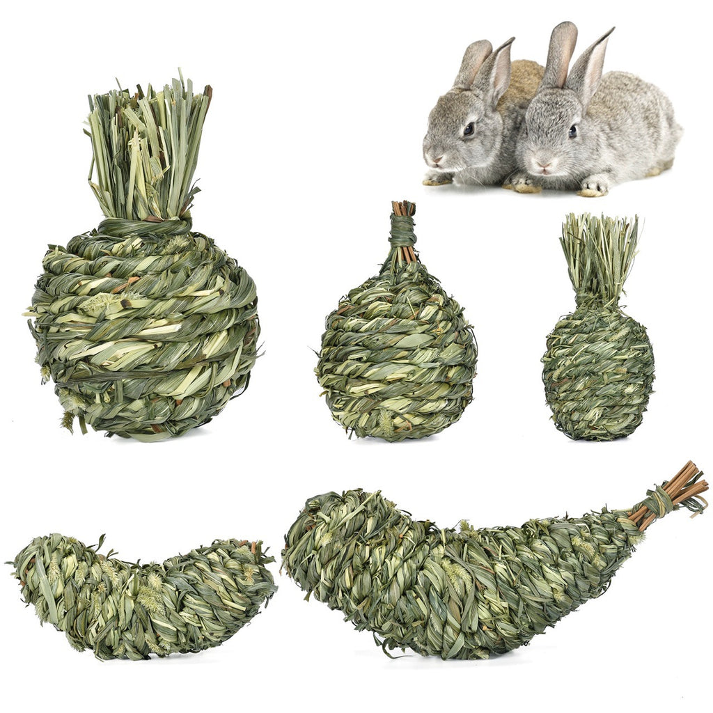 Timothy Grass Molar Chew Toys — Fruit-Shaped for Rabbits & Guinea Pigs