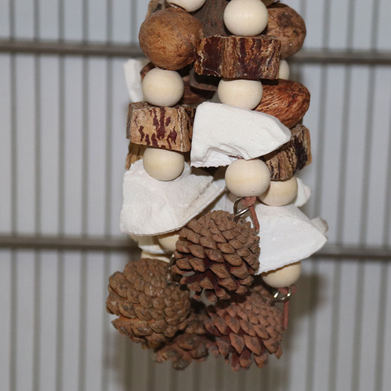 Parrot Toys Cuttlebone Fruit Gnawing String Pine Cone Natural Bird Cage Accessories