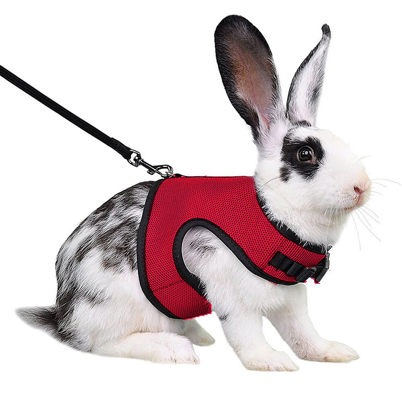 Mesh Vest Harness & Leash Set for Guinea Pigs & Rabbits