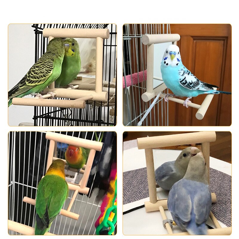 Bird Stand with Mirror Toy