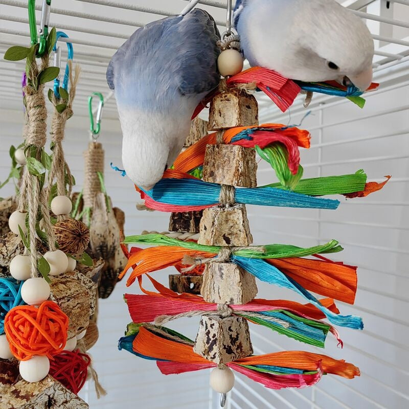 Natural Parrot Chew & Foraging Toy Set — Multiple Styles