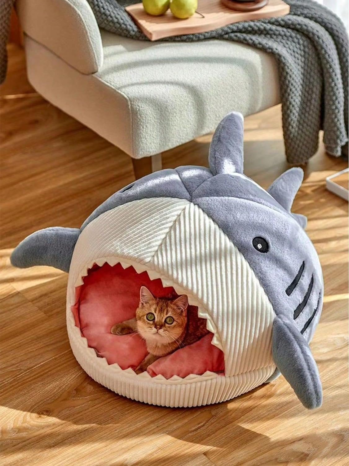 Cozy Shark Hideout House for Cats