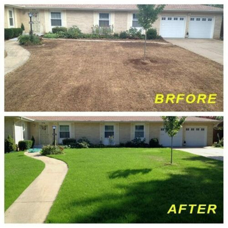 Biodegradable Pet Grass Seed Mat