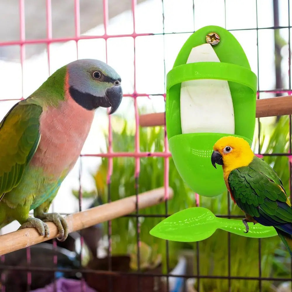 Parrot Cuttlebone & Food Holder Rack for Bird Cages