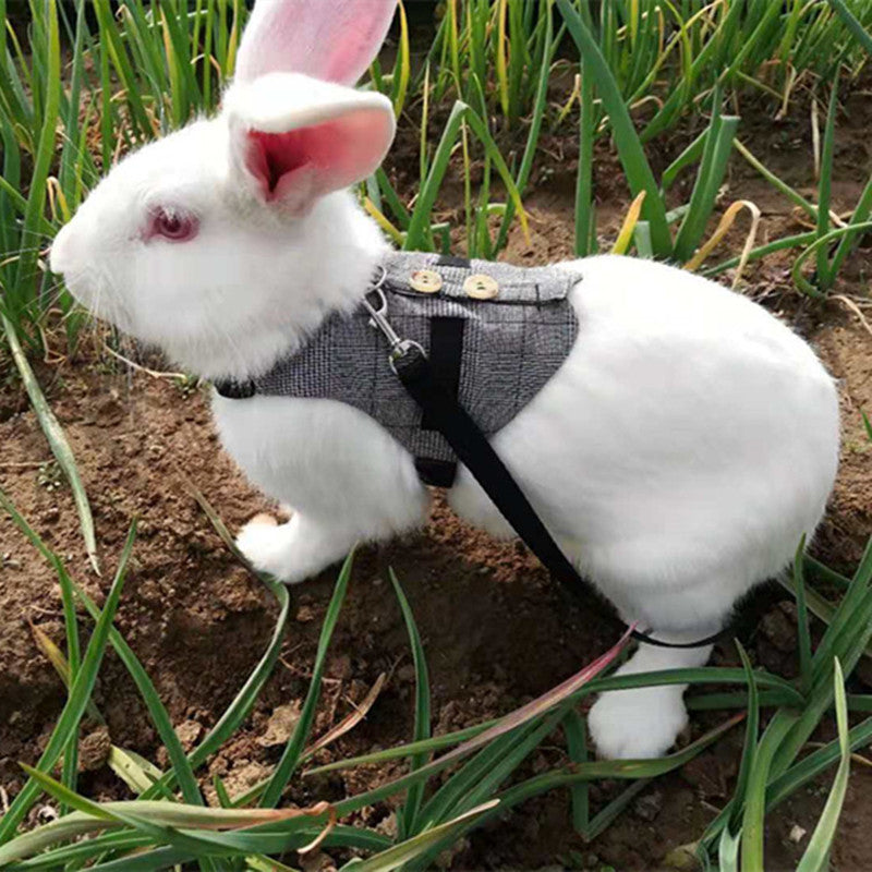 Rabbit Harness Leash & Dress Costume Set