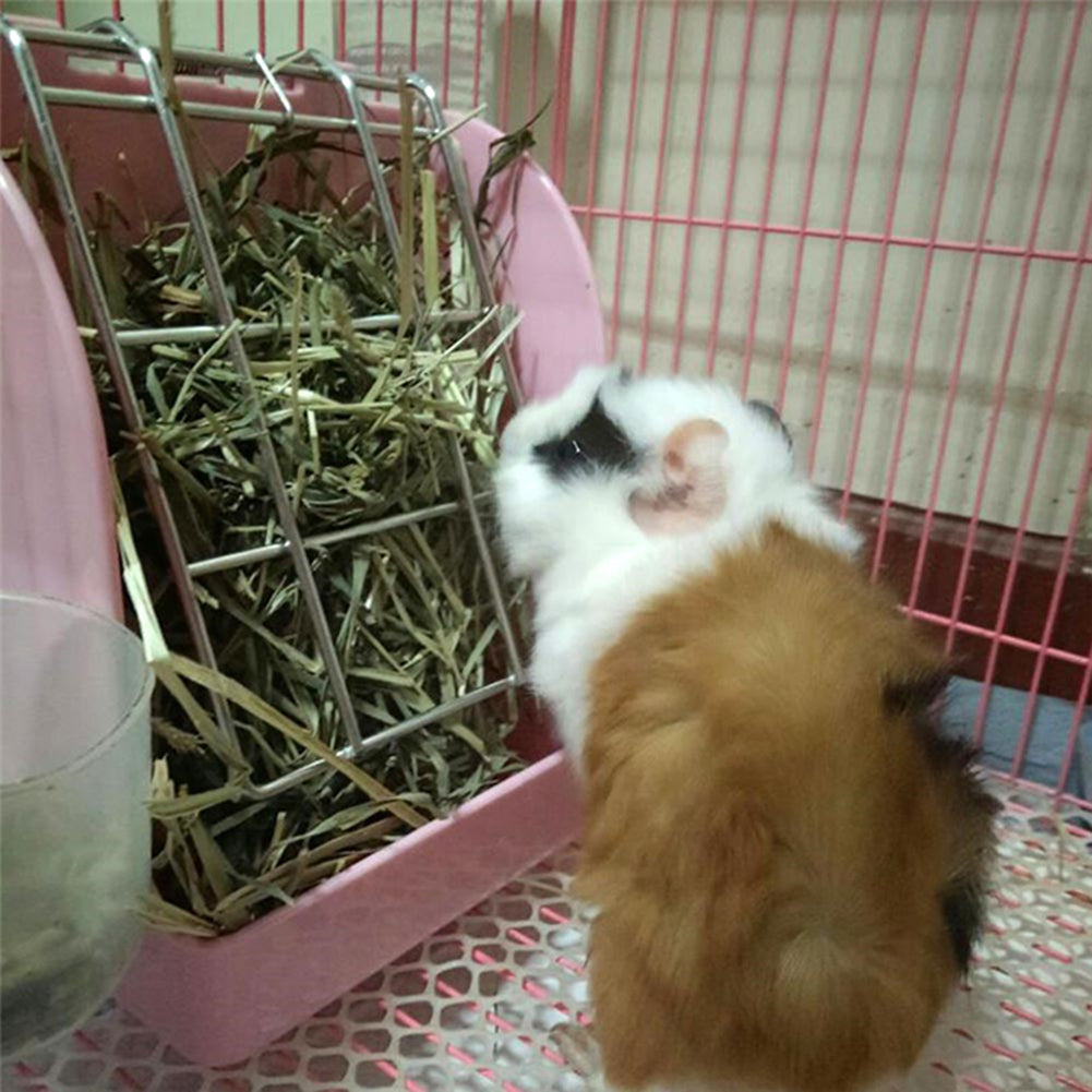 Rabbit Hay & Grass Feeder