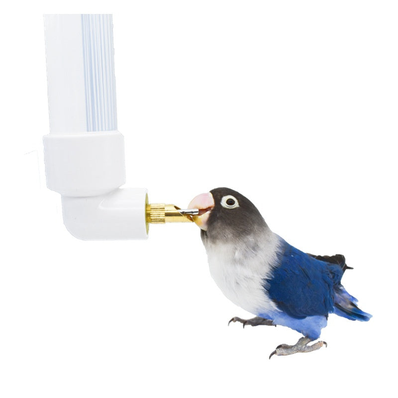 Parrot Water Fountain Firing Pin Drinking Bottle Large Automatic Water Feeder Pet Totoro Hanging Rabbit Water Cup