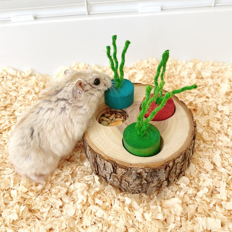 Wooden Foraging Snack Box for Rabbits & Guinea Pigs