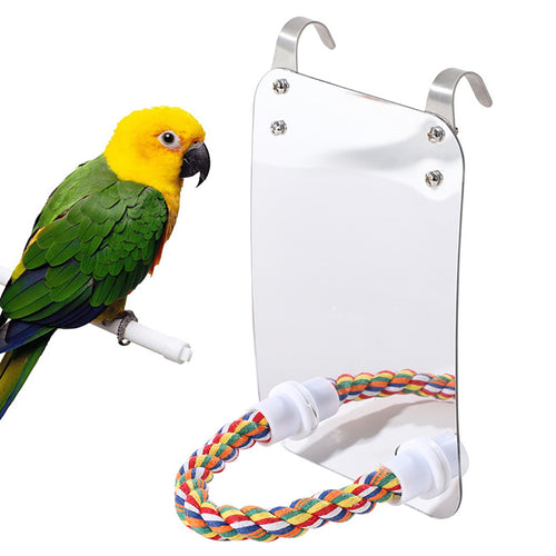 Acrylic Bird Mirror Toy with Standing Pole