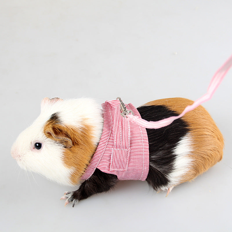 Guinea Pig Two Feet Clothes Cotton Mink Hedgehog