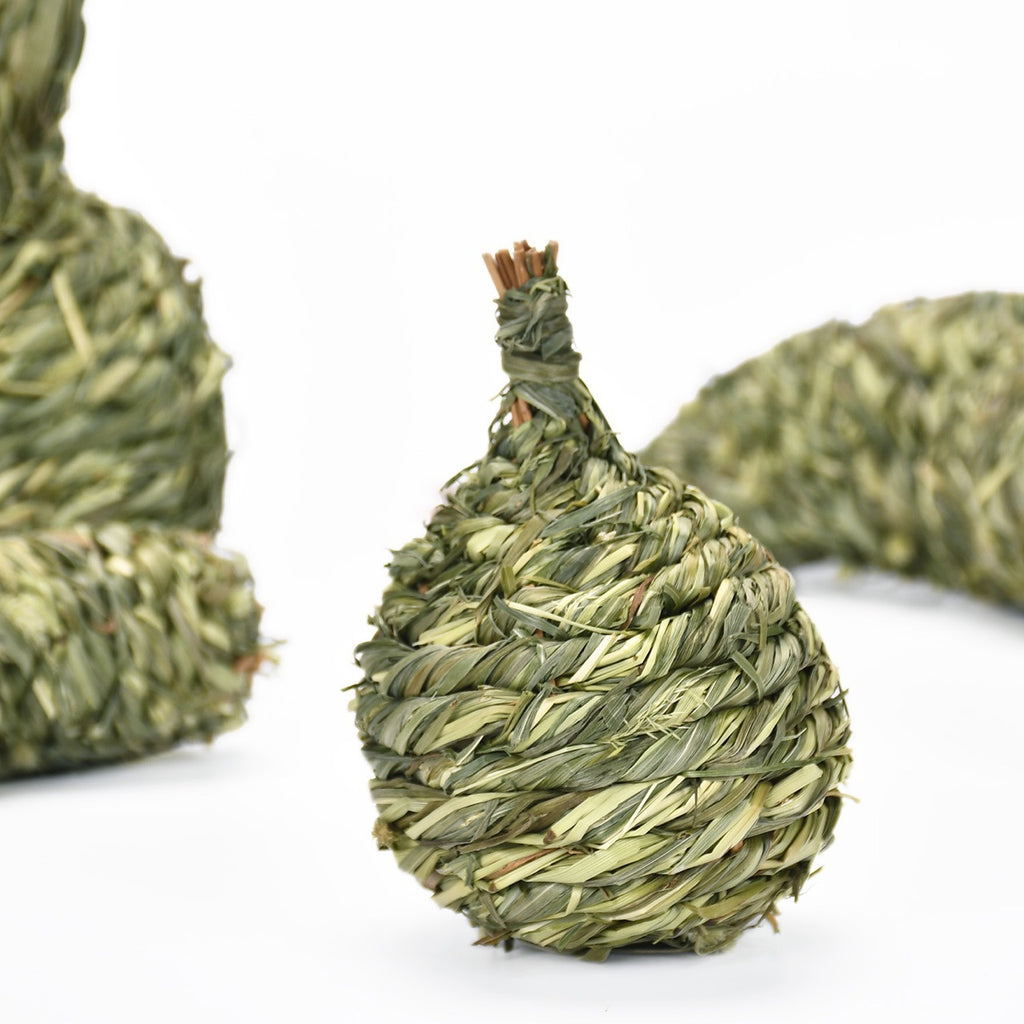 Timothy Grass Molar Chew Toys — Fruit-Shaped for Rabbits & Guinea Pigs