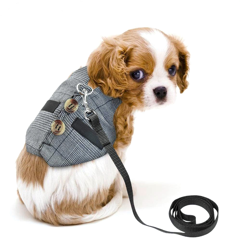 Rabbit Harness Leash & Dress Costume Set
