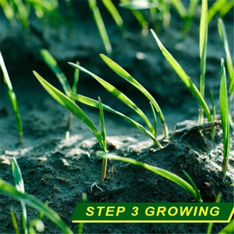 Biodegradable Pet Grass Seed Mat