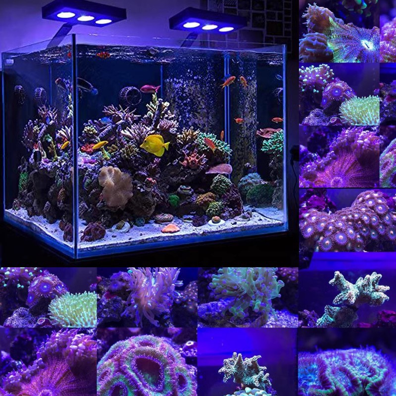 LED Marine Aquarium Light — included in bundle