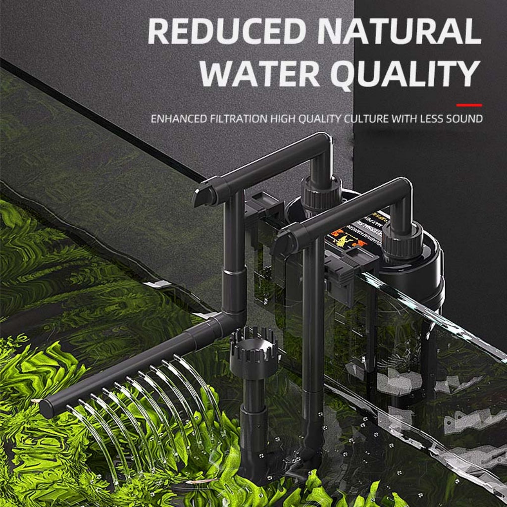 🐠 Aquarium Starter Set — Save $36