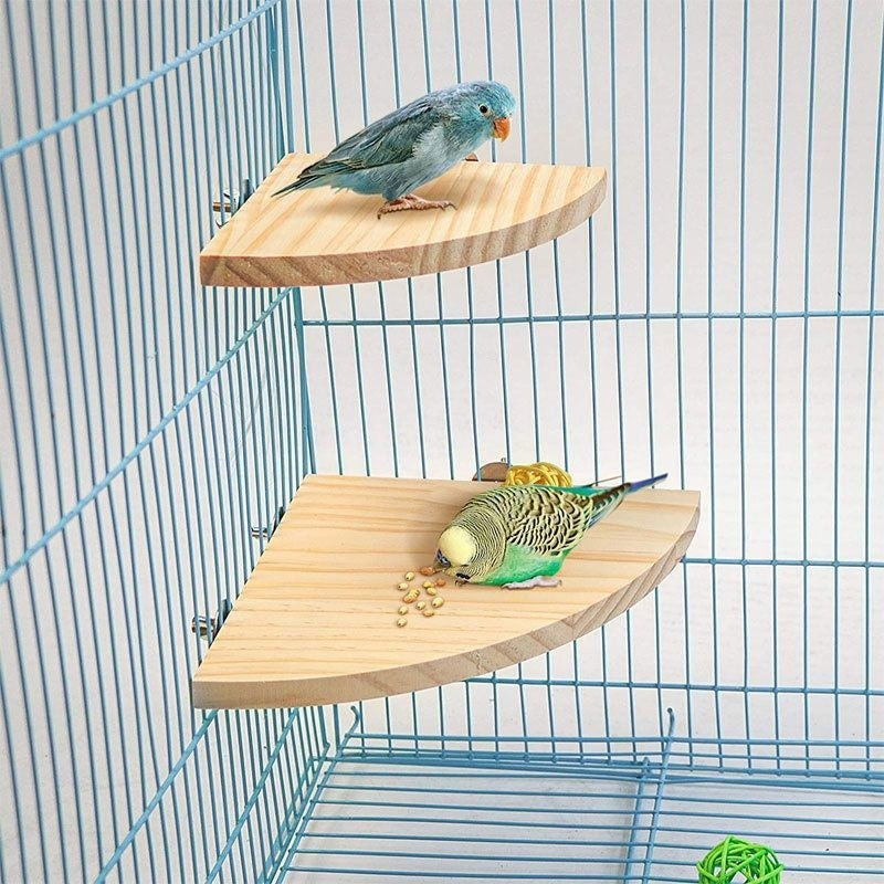 Solid Wood Bird Cage Platform & Standing Board — Multiple Styles