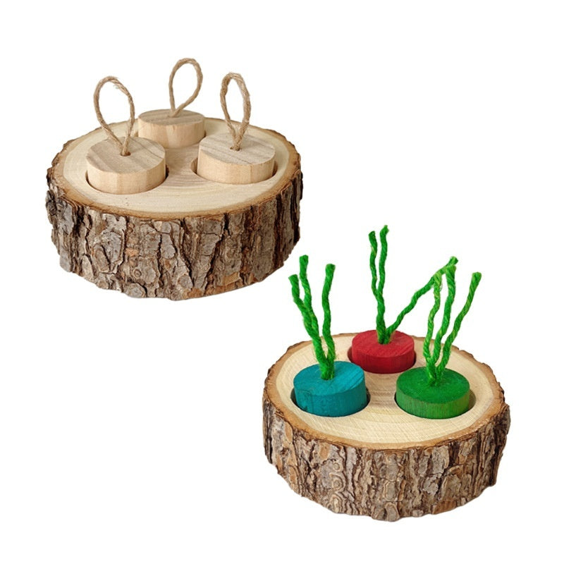 Wooden Foraging Snack Box for Rabbits & Guinea Pigs