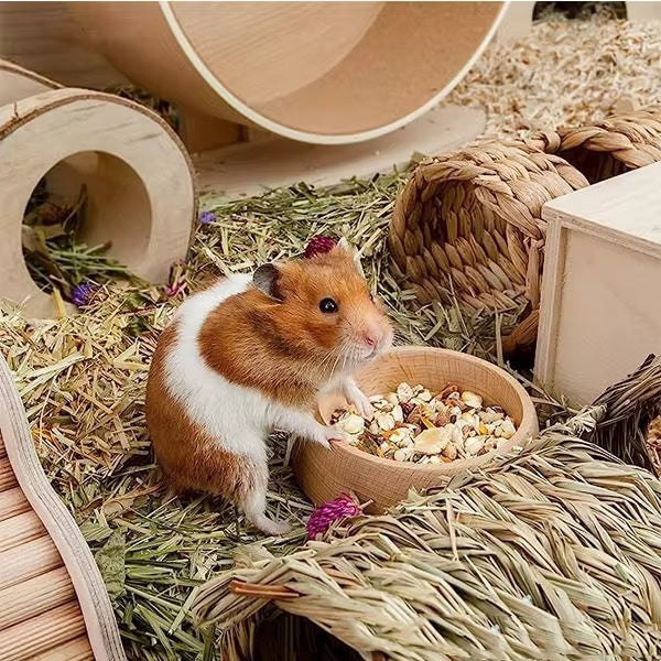 Natural Beech Wood Feeding Bowl for Hamsters