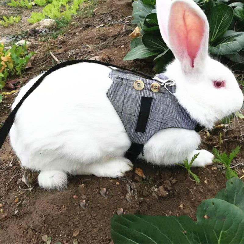 Rabbit & Cat Chest Strap Harness with Hand Rope