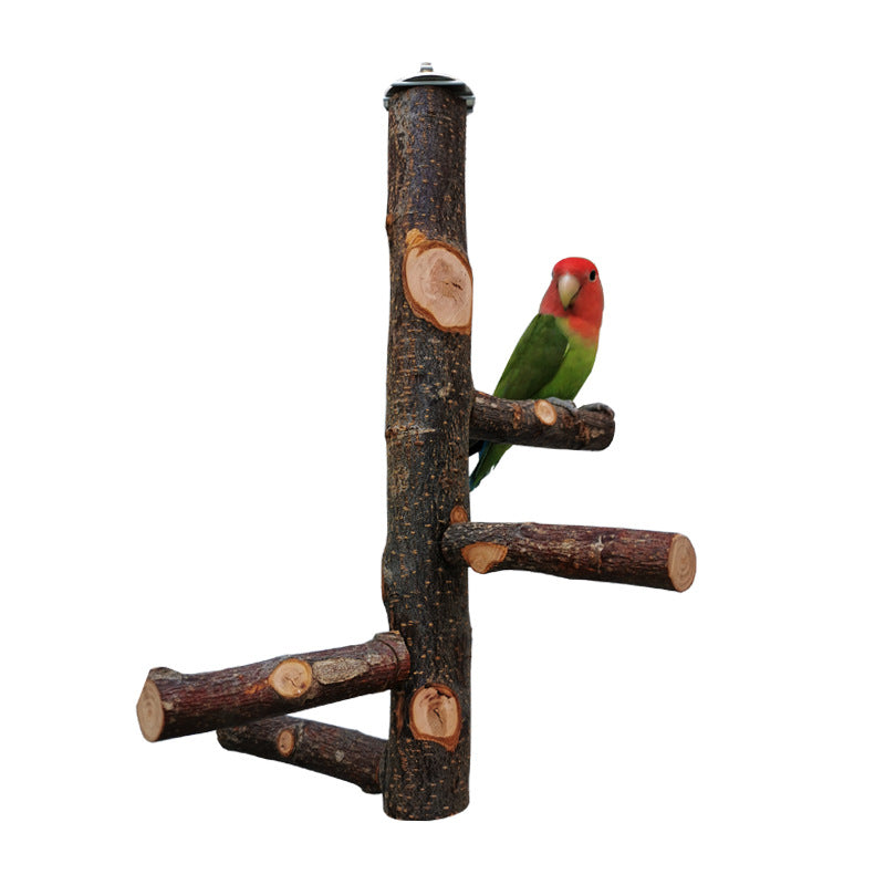 Apple Wood Parrot Stand with Perch — Natural Bird Toy