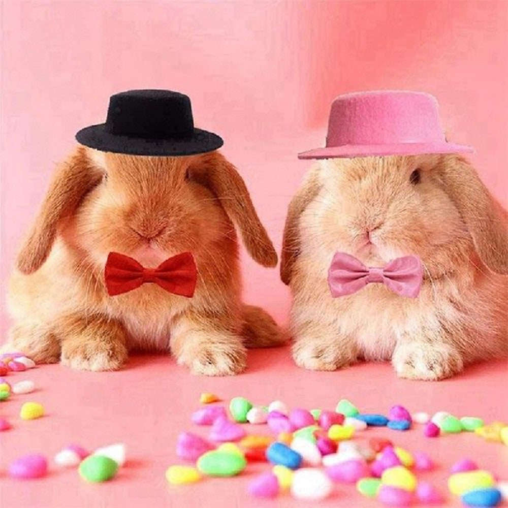 Felt Hat & Bow Tie Costume Set for Small Pets
