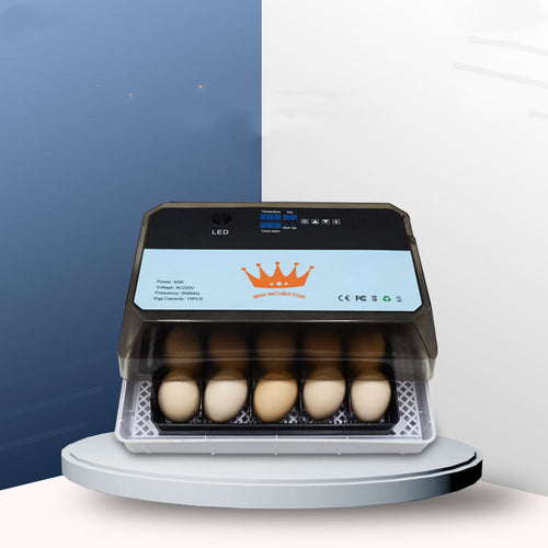 15-Egg Household Incubator with Digital Temperature Control