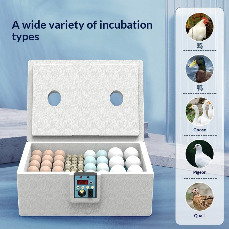 Incubator Small Waterbed Quail Egg Incubator