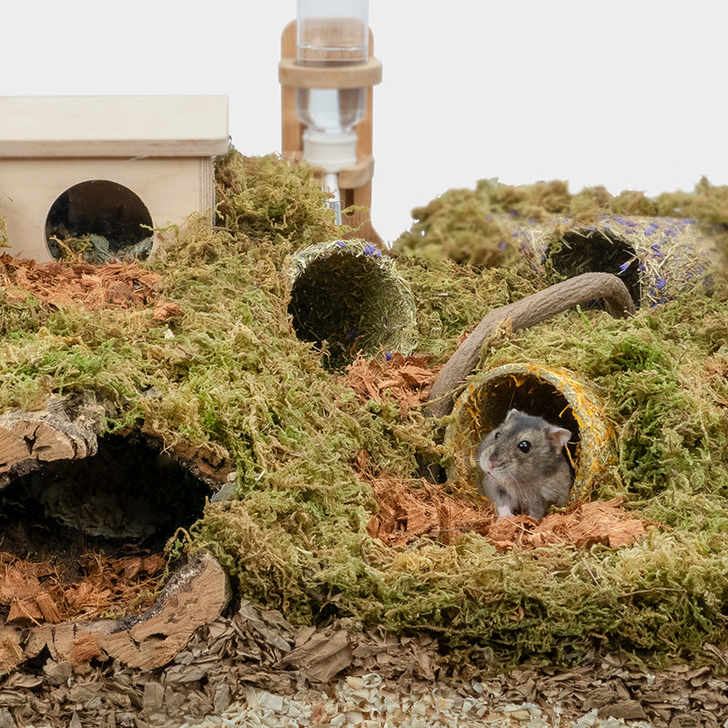 Natural Grass & Petal Tunnel Toy for Hamsters