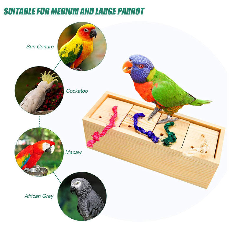 Parrot Puzzle Training Toy & Bird Supplies