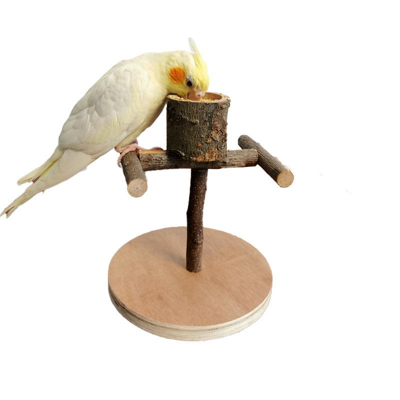 Solid Wood Parrot Training Stand — Multiple Styles