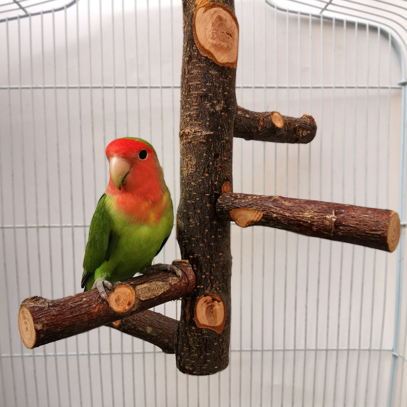 Apple Wood Parrot Stand with Perch — Natural Bird Toy