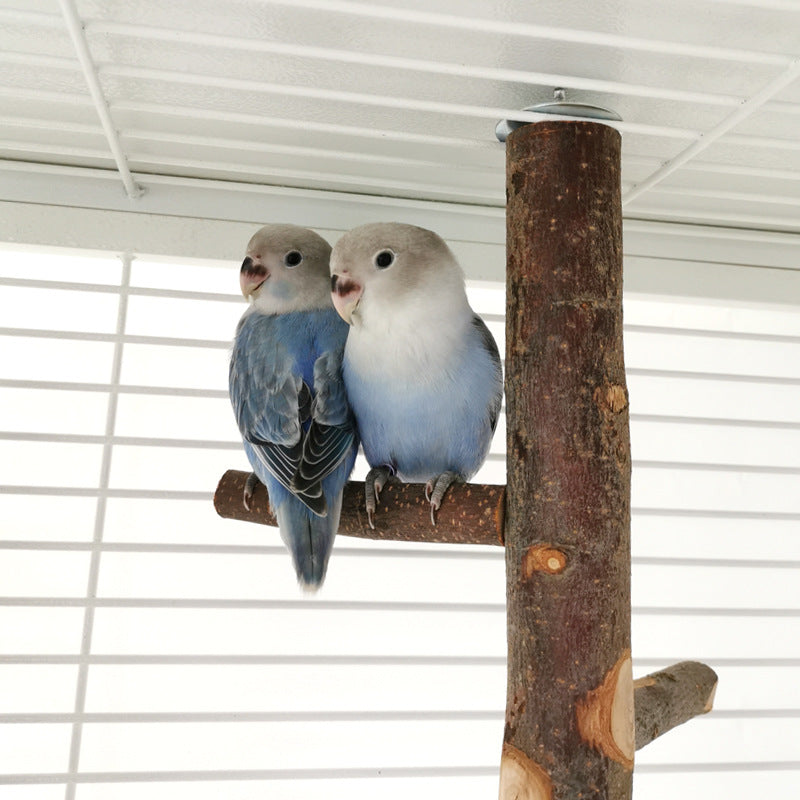 Apple Wood Parrot Stand with Perch — Natural Bird Toy