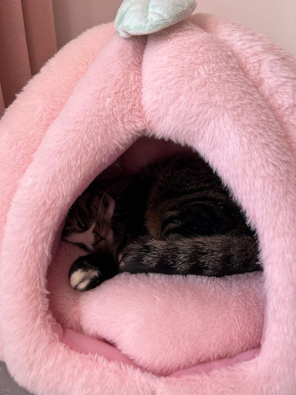 Pink Soft Cat Tent Cave Bed with Removable Cushion