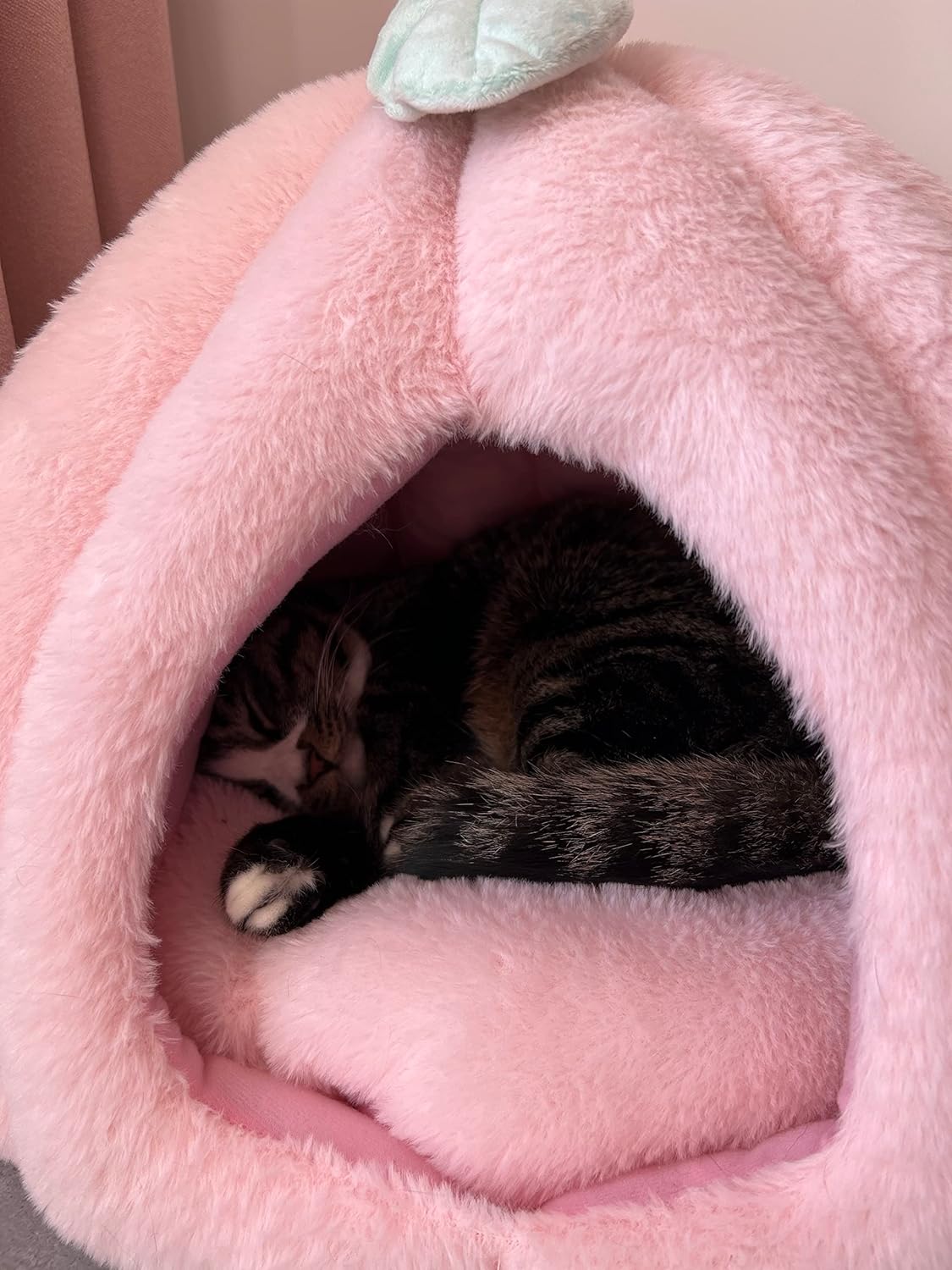 Pink Soft Cat Tent Cave Bed with Removable Cushion