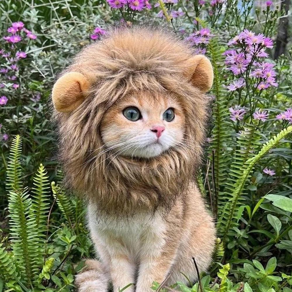Lion Mane Wig Hat for Cats & Small Dogs