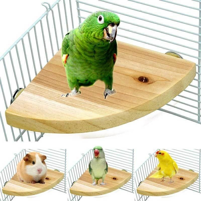 Solid Wood Bird Cage Platform & Standing Board — Multiple Styles