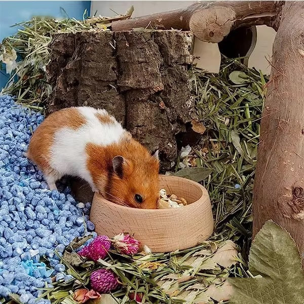 Natural Beech Wood Feeding Bowl for Hamsters