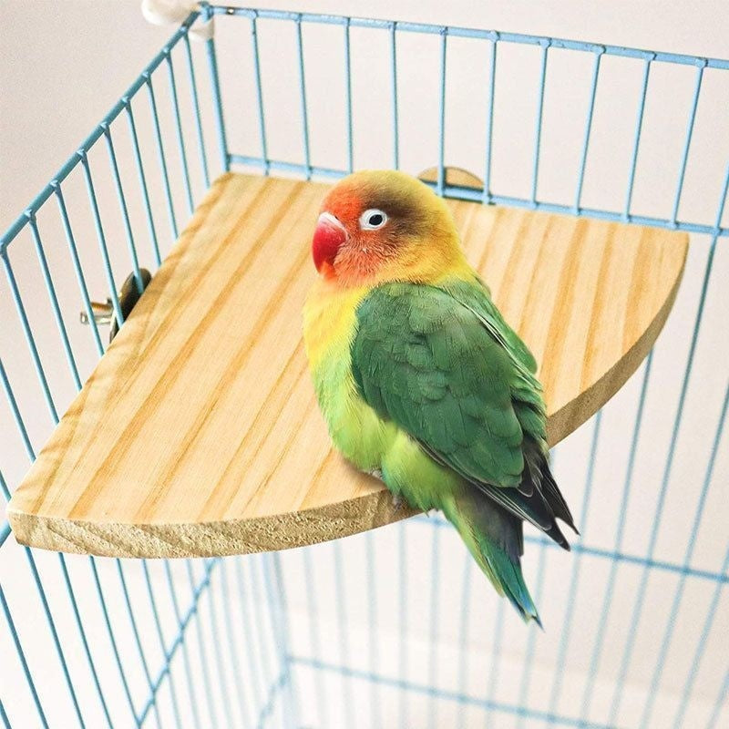Solid Wood Bird Cage Platform & Standing Board — Multiple Styles