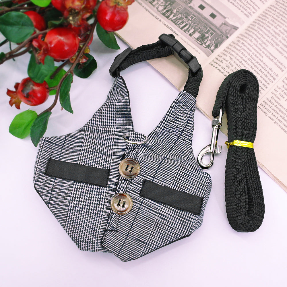 Rabbit Harness Leash & Dress Costume Set