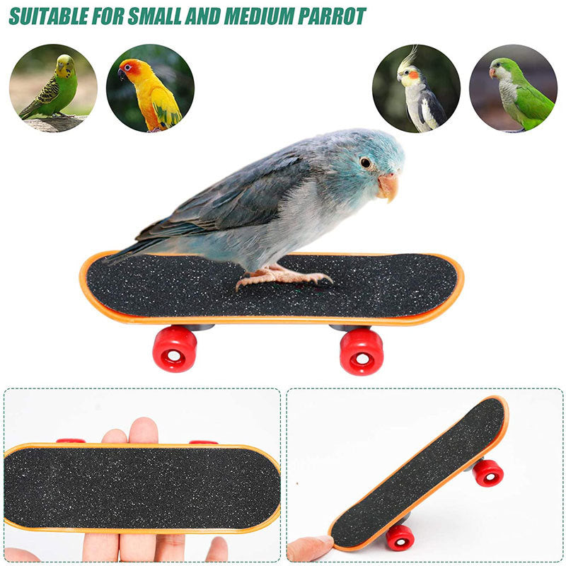 Parrot Puzzle Training Toy & Bird Supplies